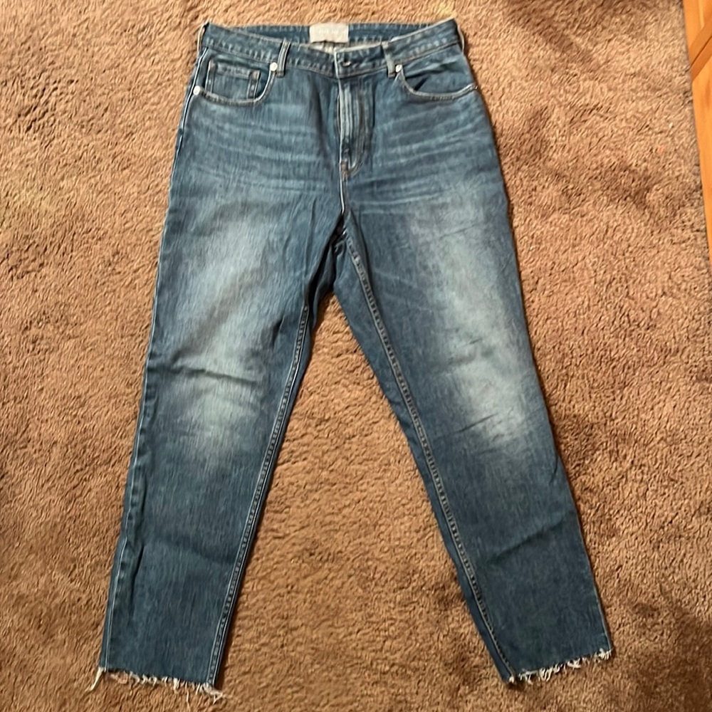 Everlane Curvy Cheeky Jean Raw Hem (NWOT)